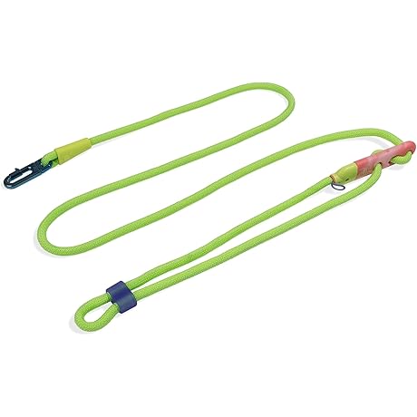 ZeeDog Hands Free Leash: Revolutionizing Dog Walks