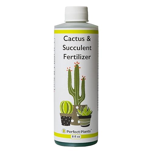 Perfect Plants Cactus lĂquido y fertilizante suculento de 8 onzas Alimento para suculentas vivas cactus aloe y más Uso en interiores y exteriores Perfect Plants Cactus lĂquido y fertilizante suculento de 8 onzas Alimento para suculentas vivas cactus aloe y más Uso en interiores y exteriores