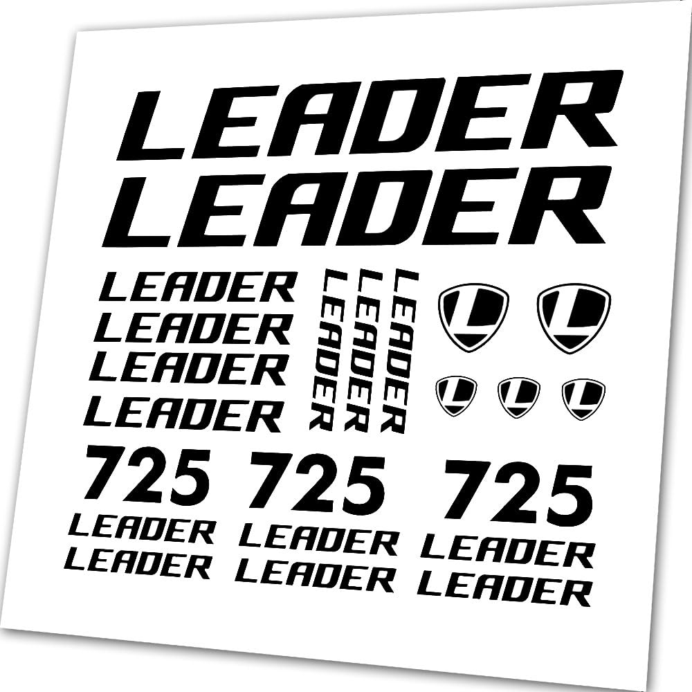 Leader Bike Logo Electric Bicycle LEADER FOX Brasa 26