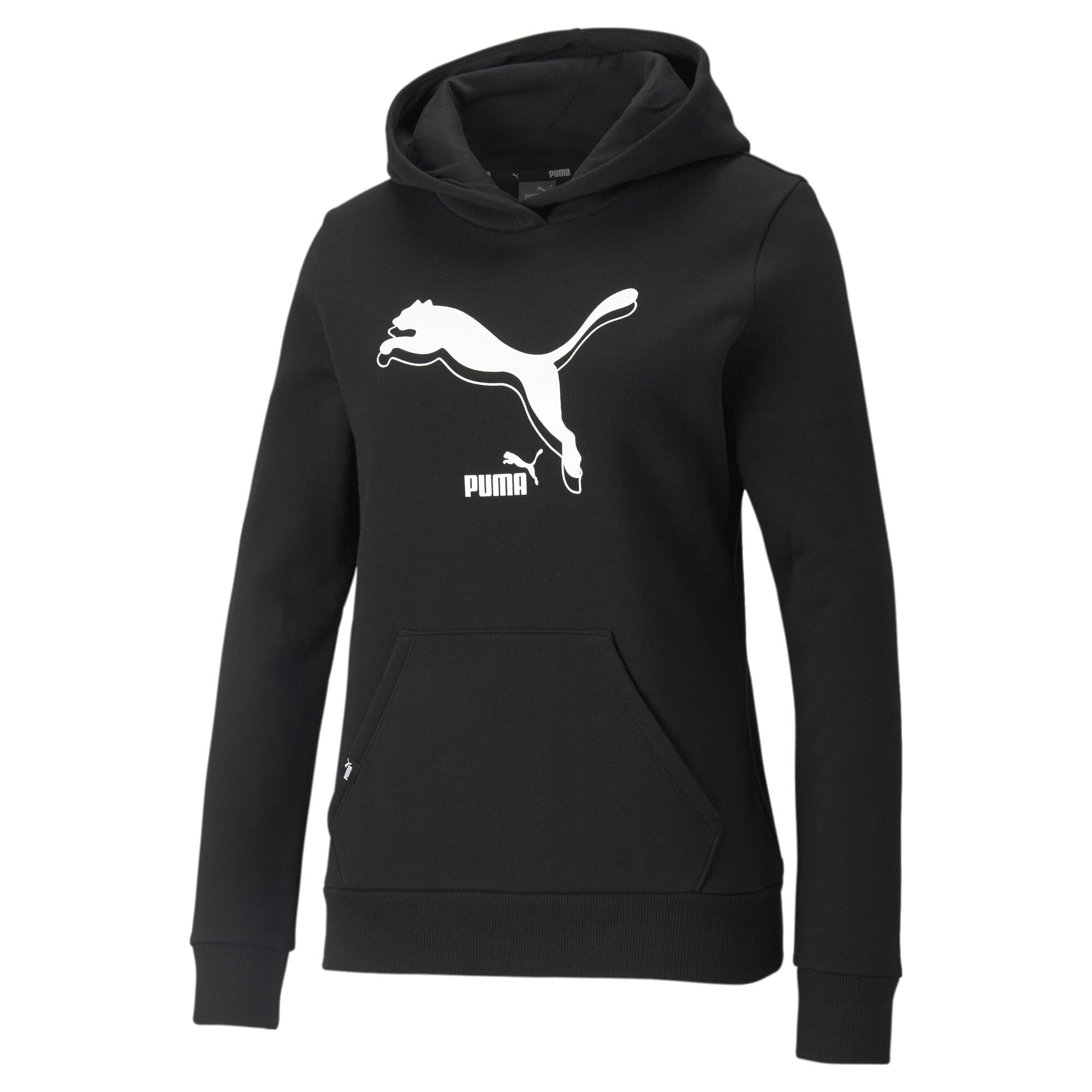 PUMA Power Logo Hoodie FL