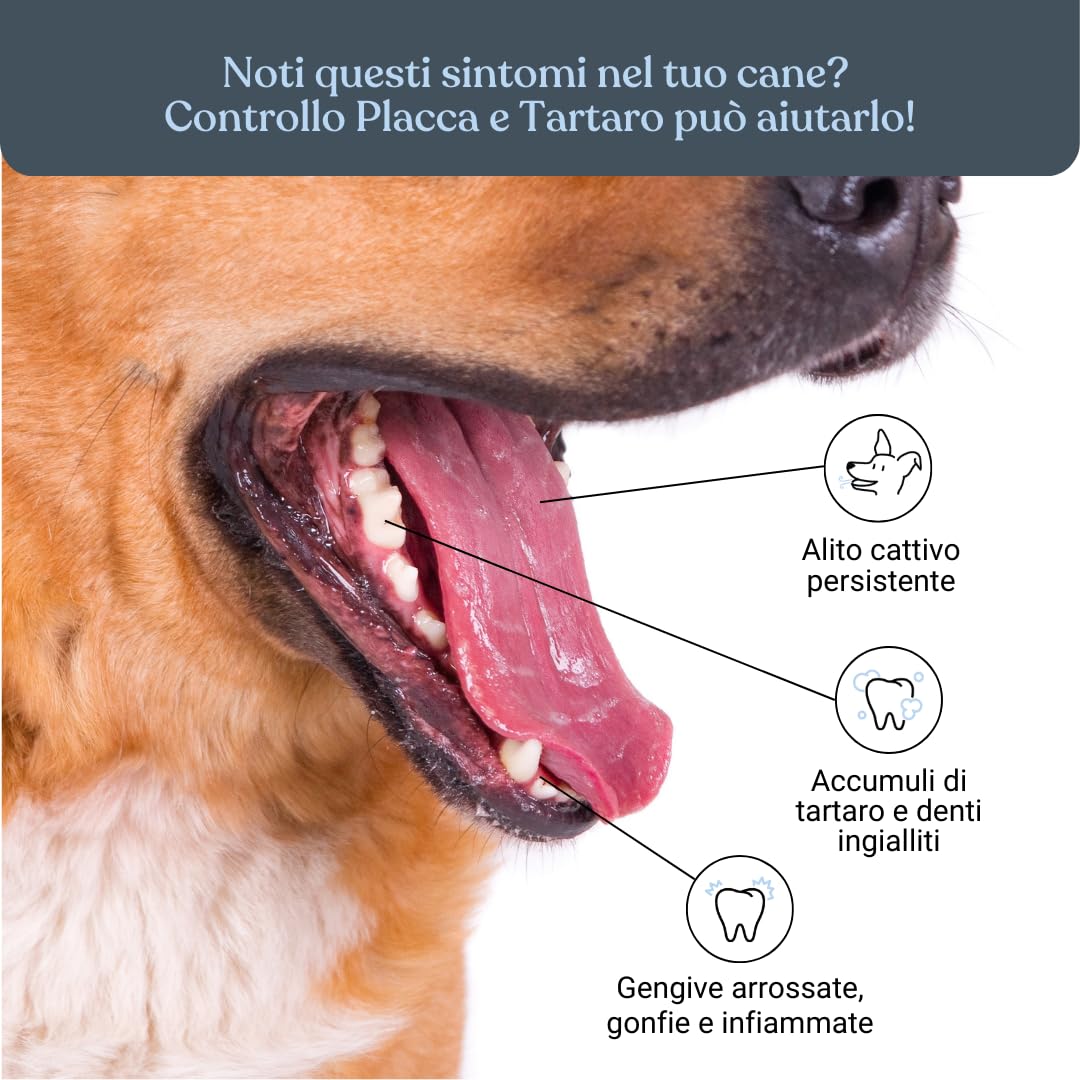 Bau Controllo Placca e Tartaro Cane in Polvere con Alga Ascophyllum Nodosum, Propoli e Menta, Mangime Complementare per Igiene Orale Senza Spazzolino, Alito Fresco e Gengive Sane del Cane