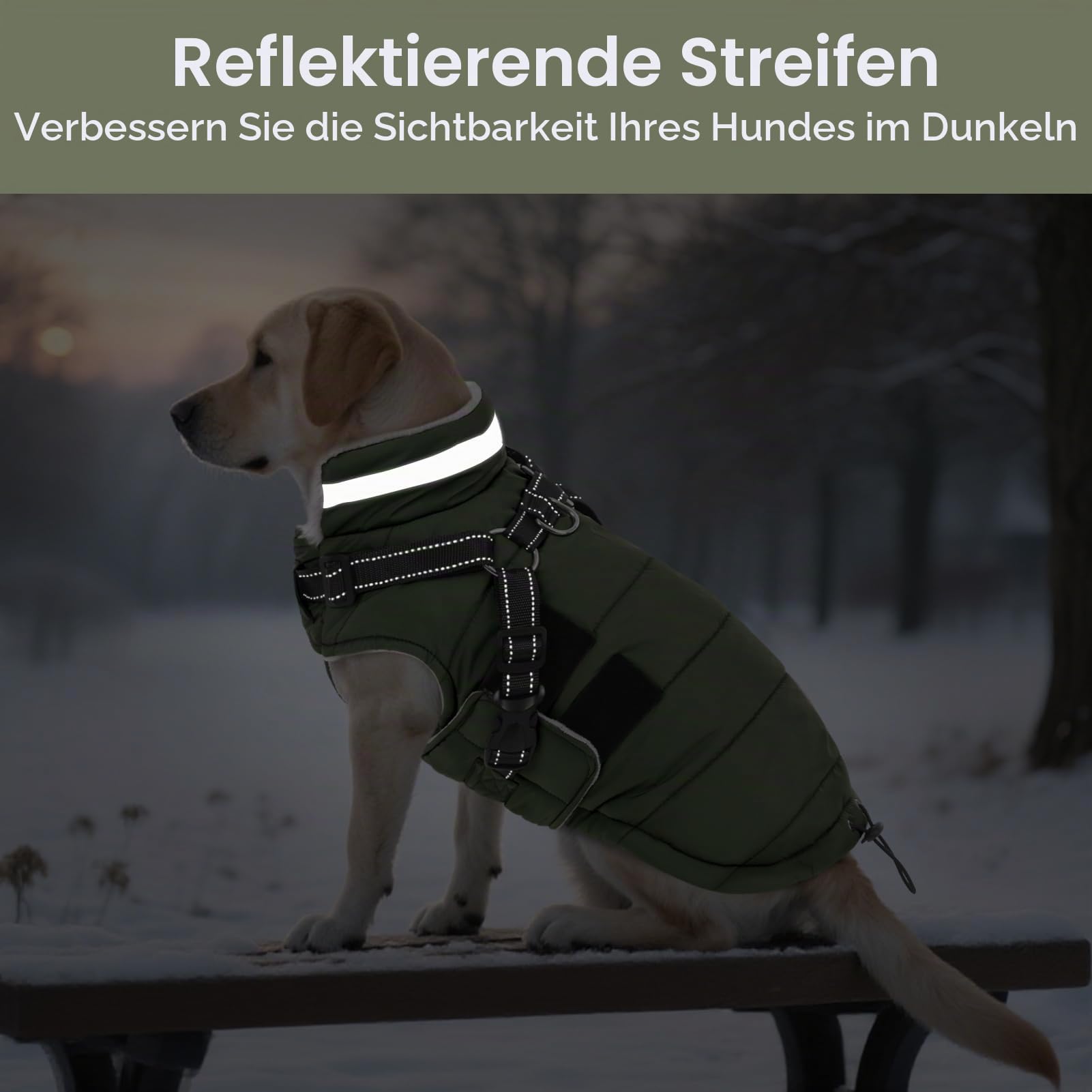 ASENKU Hundemantel Winter mit Geschirr XL Wasserdicht für Grosse Hunde | Reflektierend Fleece Hundejacke Ideal für Gassigehen bei Nacht, Schnee,Wandern und Camping, für Golden Retriever, Labrador