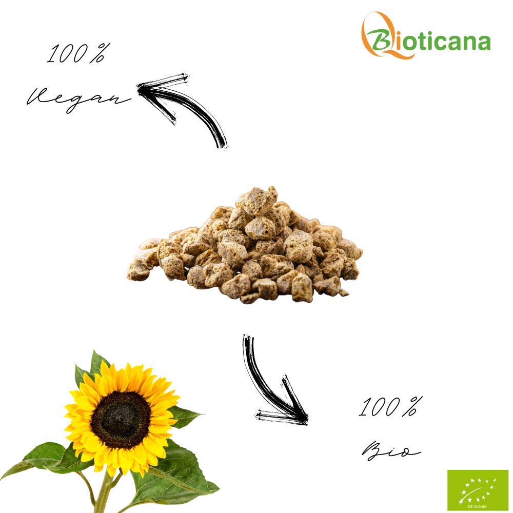 Sustituto de carne picada de girasol ecológica 500 g proteína vegetal vegano sin gluten