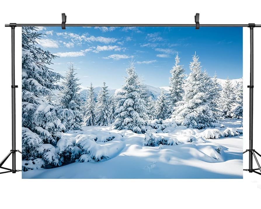 股旅　舞台ステージ幕　雪景色の布製 股旅 舞台ステージ幕 雪景色の布製 Amazon | DHXXSC 7×5フィート