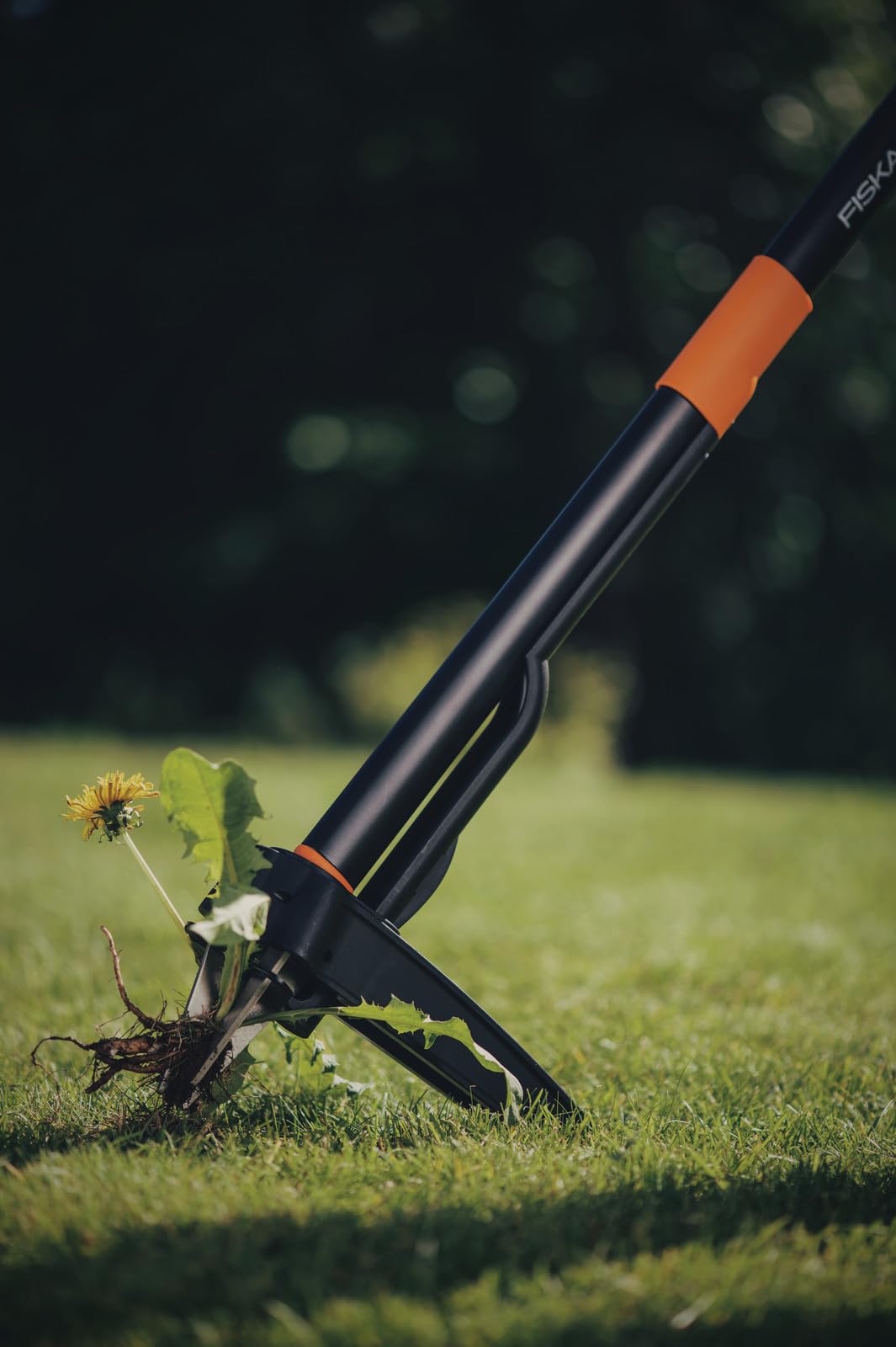 Fiskars Xact Unkrautstecher, Länge: 1 m, Rostfreie Stahl-Arme/Kunststoff-Griff, Schwarz/Orange, Kartoneinzelverpackung, 1077305
