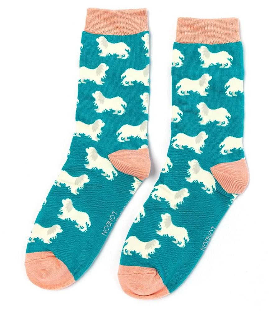 Lilyrosa Women's Teal Lilyrosa® Spaniel Dog Socks Colourful Sock Pink Girls Bamboo Mix Spaniels Dogs (One Pair) (Teal)