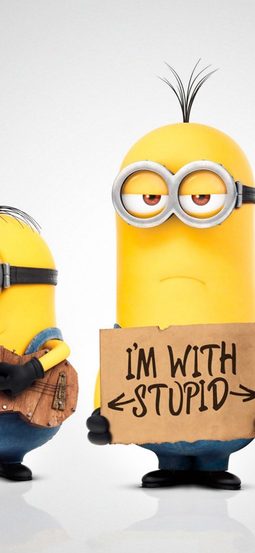 PeelitStickit 60 Width x 130 cm Height Minions 2015" Vinyl Wall Mural
