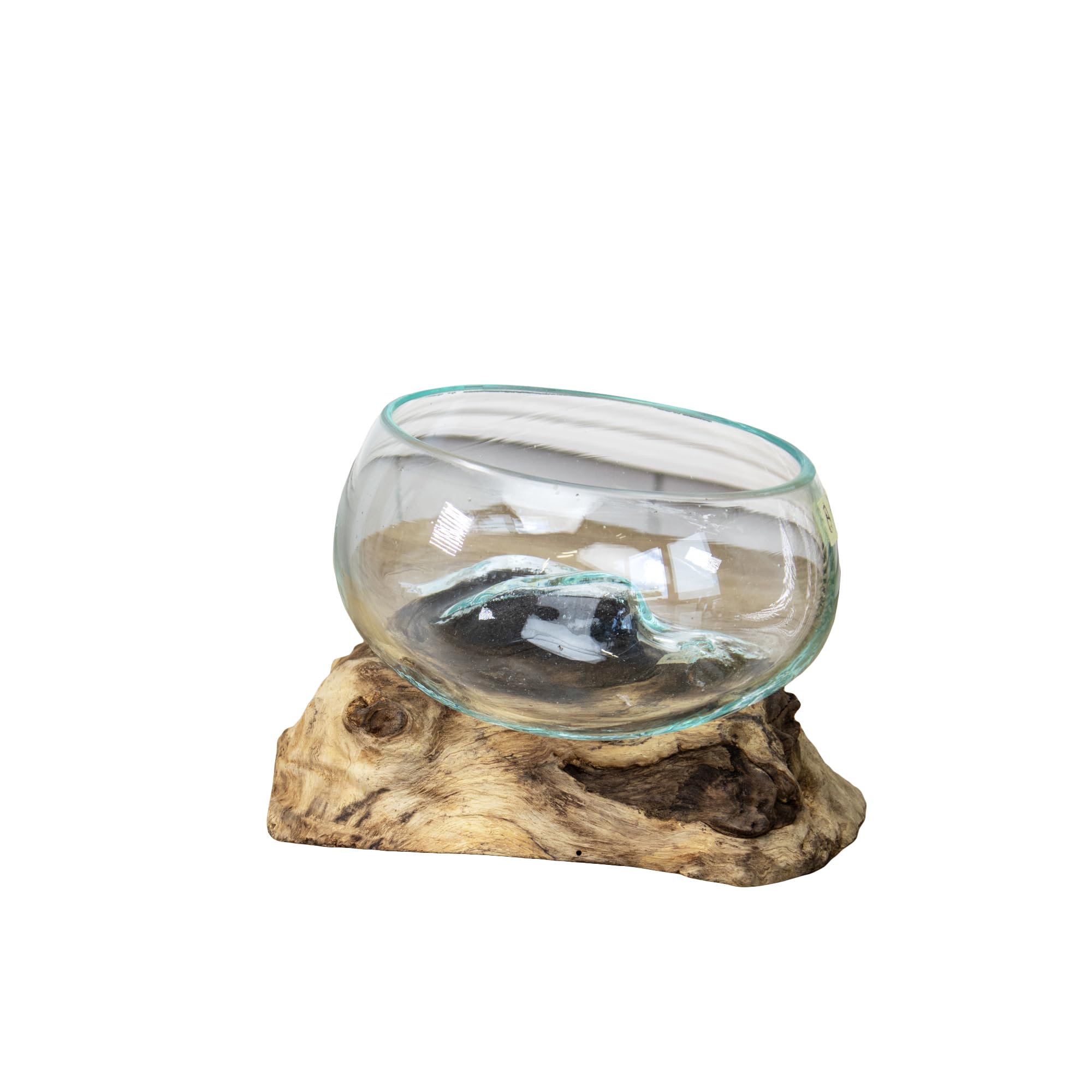 Darthome Teak Root with Mini Molten Glass Fruit Bowl 12x13x12cm Glass Rustic Wood Base Sculpture