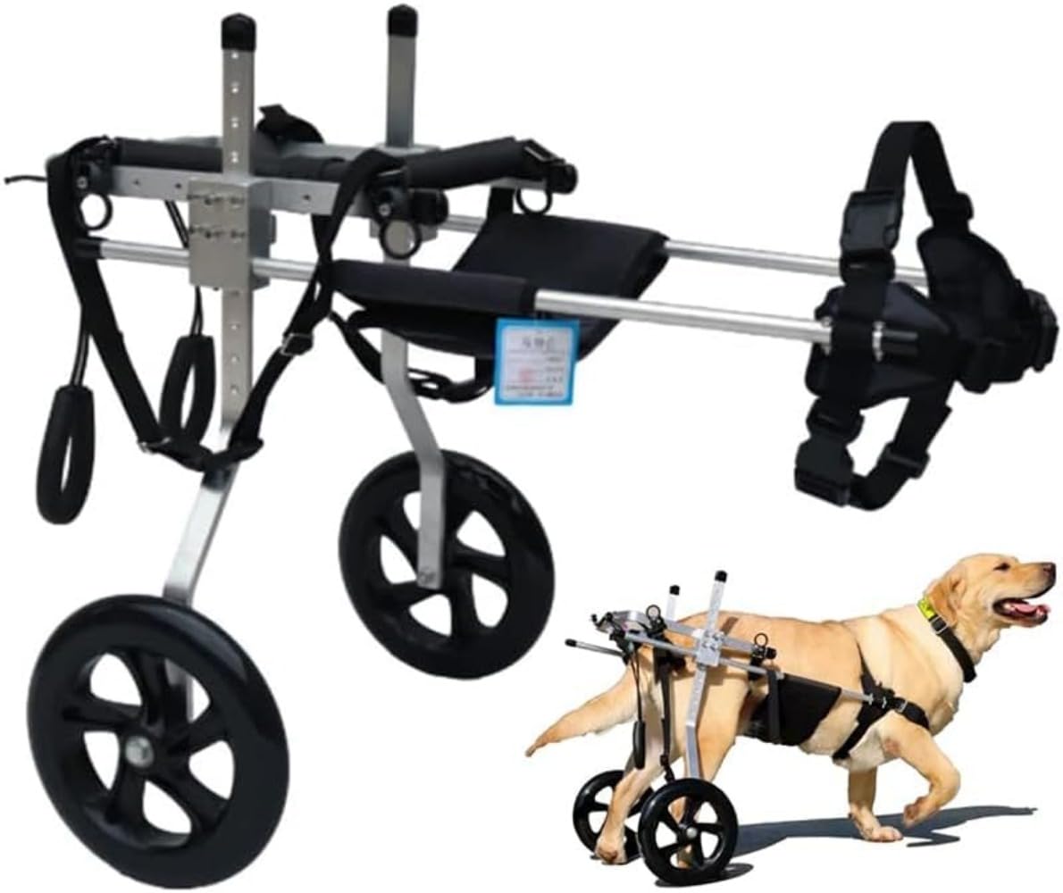 Amazon | 犬用車椅子 犬 車椅子 M L XL XXL XXXL 後肢リハビリ 