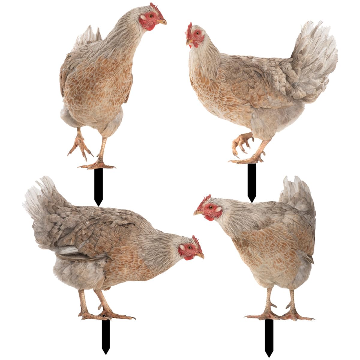 Piquets à poules de jardin en acrylique lot de 4 - Décoration pelouse extérieure et fête à thème