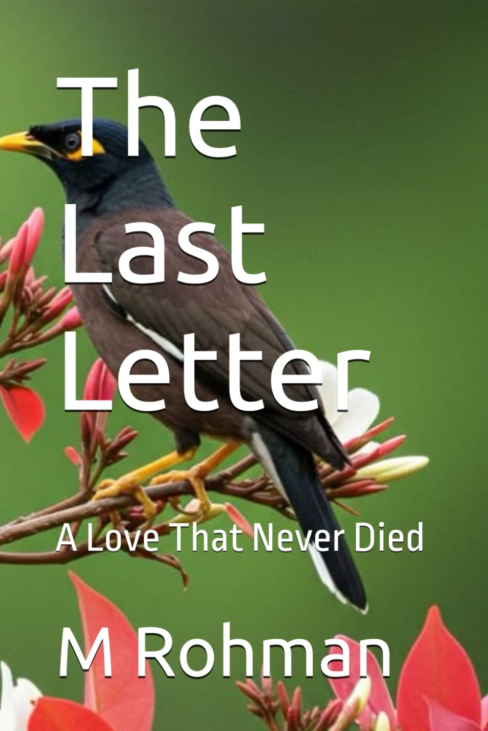 The Last Letter: A Love That Never Died