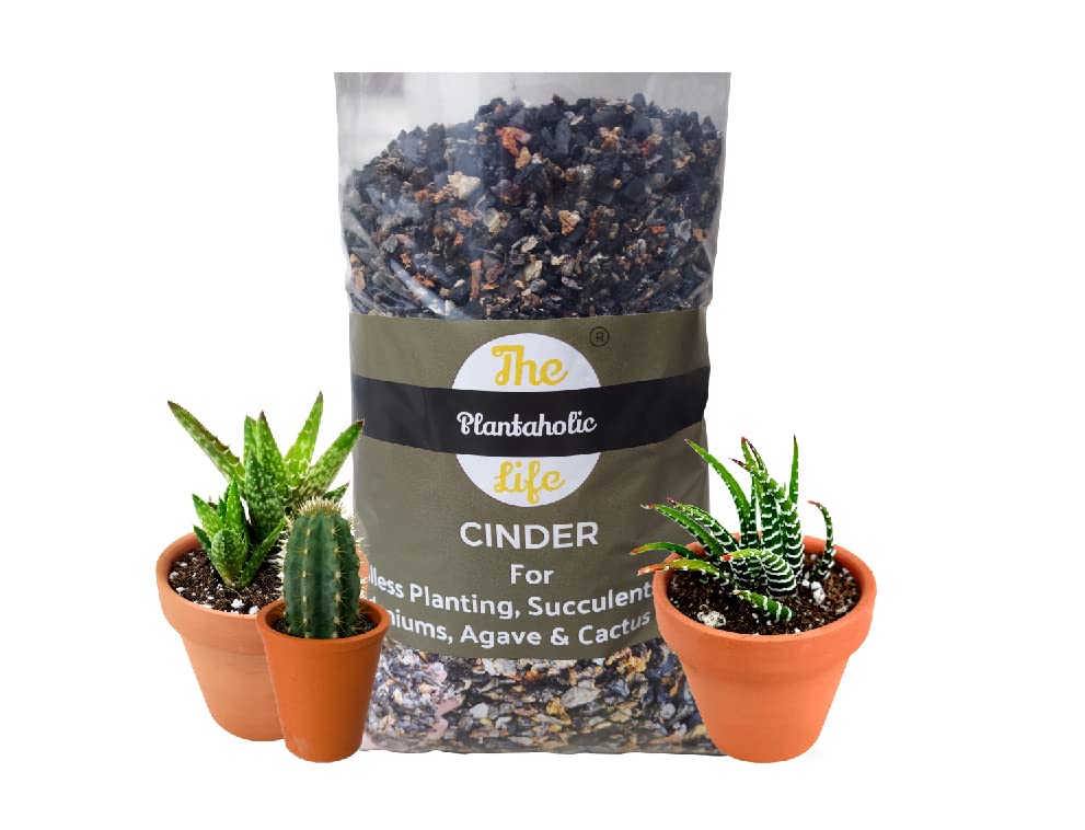 See full amazon price history chart for THE PLANTAHOLIC LIFE ® (5KG) Washed Cinder 100% Pure For Succulents,Roses,Adeniums,Agaves,Cactus & All Desert Plants THE PLANTAHOLIC LIFE ® (5KG) Washed Cinder 100% Pure For Succulents,Roses,Adeniums,Agaves,Cactus & All Desert Plants (B09DMT43VD) Amazon Price History, Amazon Price Tracker