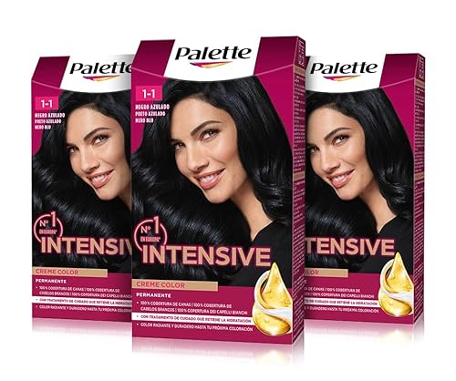 PALETTE Tinte Permanente 1-1 Negro Azulado