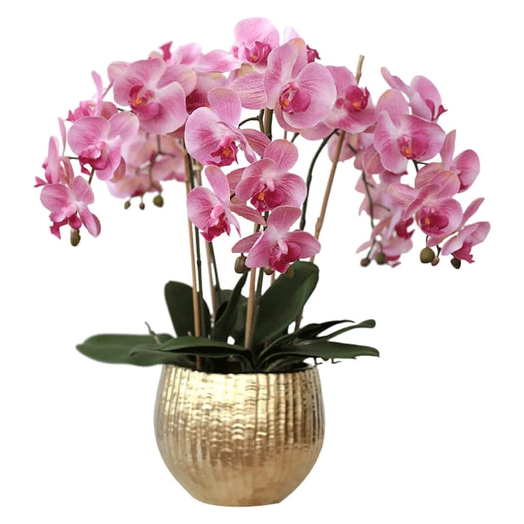 XDLEDMKIZ Orchid Artificial Flowers Faux Orchids Artificial Phalaenopsis Flowers Plant Arrangement with Porcelain Vase Artificial Flowers Decoration natural look