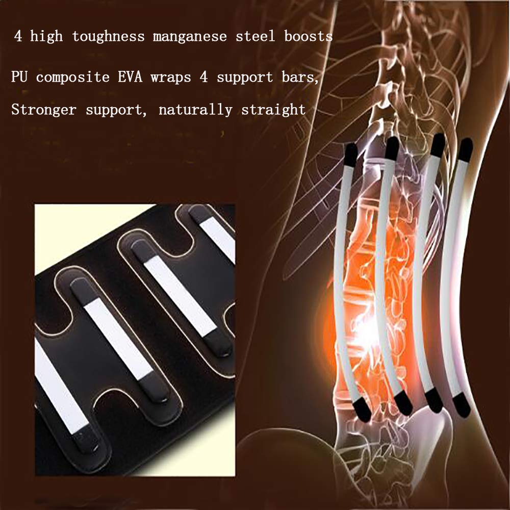 Faja Lumbar Fitness - Cinturón de Soporte para la Espalda Ajustable - para Gimnasio, Postura, Levantamiento, Trabajo, Alivio del Dolor - para Hernia de Disco,L