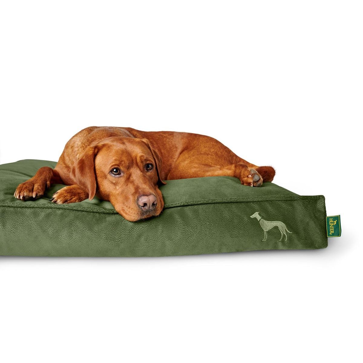 HUNTER Orthopädisches/Ergonomisches Hundekissen Merida mit Memoryschaum, Kann eine gelenk- und rückenschonende Haltung unterstützen; Rutschhemmende Unterseite, Farbe: Oliv, Größe: L