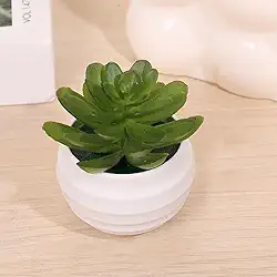 Pacote com 3 mini plantas suculentas artificiais de aloe - plantas falsas em vasos de toque real com vasos de cerâmica, decoração de mesa pequena para casa, escritório, mesa e prateleira (verde escuro