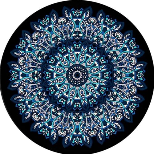 DJHWWD Waschbarer Teppich Vorzimmer Antirutsch Kurzflor Blauer Kreis Fußabtreter für Wohn,Esszimmer,Küchen 80X80cm