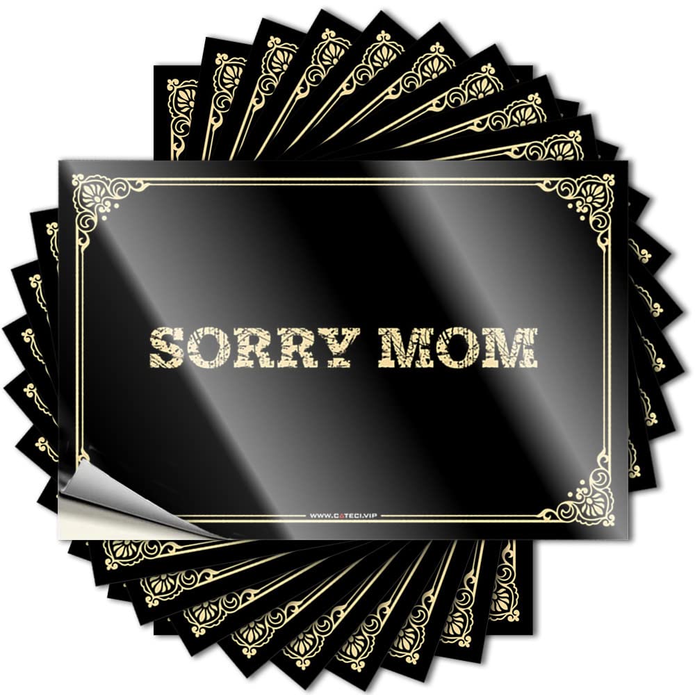 Fzfn Colour Sticker Retro Decor Friends Snarky Garage Sorry Mom - Scratch Resistant Stickers(6X9cm)