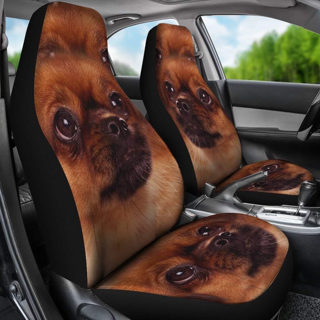 Amazing Tibetan Spaniel Print Car Seat Covers