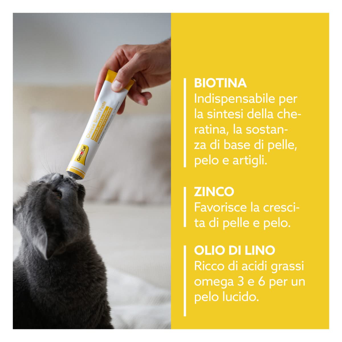 GimCat Cheese Biotin Pasta - Con formaggio aromatico, zinco e olio di lino per il pelo, la cute e gli artigli - 1 tubetto (1 x 200 g)