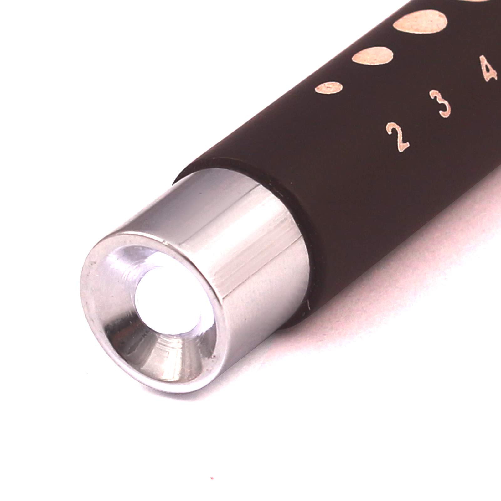 LAJA IMPORTS Nurse Penlight Reusable LED Pen Light with Pupil Gauge Black