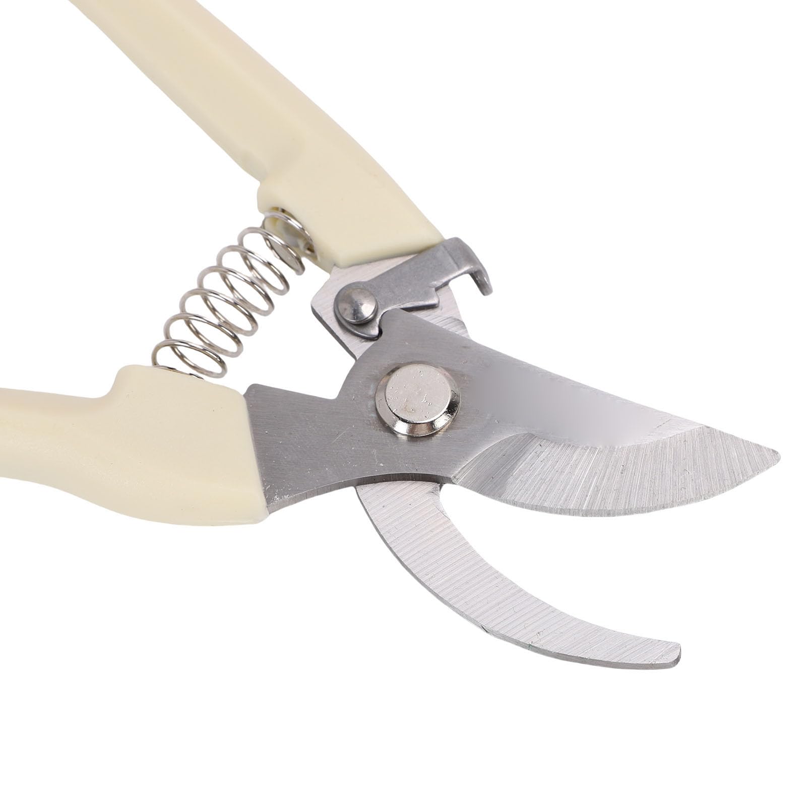 Kit Completo de Herramientas Florales, Tijeras Podadoras Peladoras de Espinas de Rosas para Principiantes y Profesionales, PVC, Acero Inoxidable, 28,5 Oz