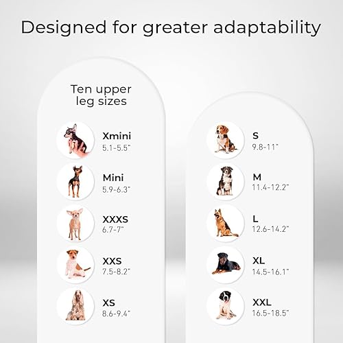 Miniatura 4 de Ortocanis - Rodillera para perro - para pierna trasera derecha - Hecha de neopreno ARD - para desgarro del ligamento, lesiones de ligamentos,