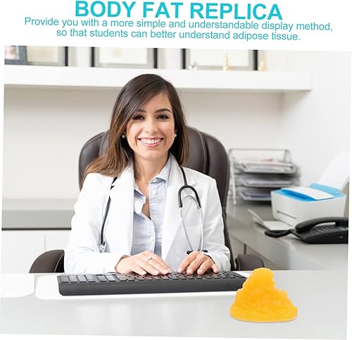 Miniatura 3 de TOYANDONA 1pc Modelo para Educación Auténtico Modelo de Grasa Humana Herramienta de Demostración Realista para Fitness y Anatomía Aprendizaje TPE