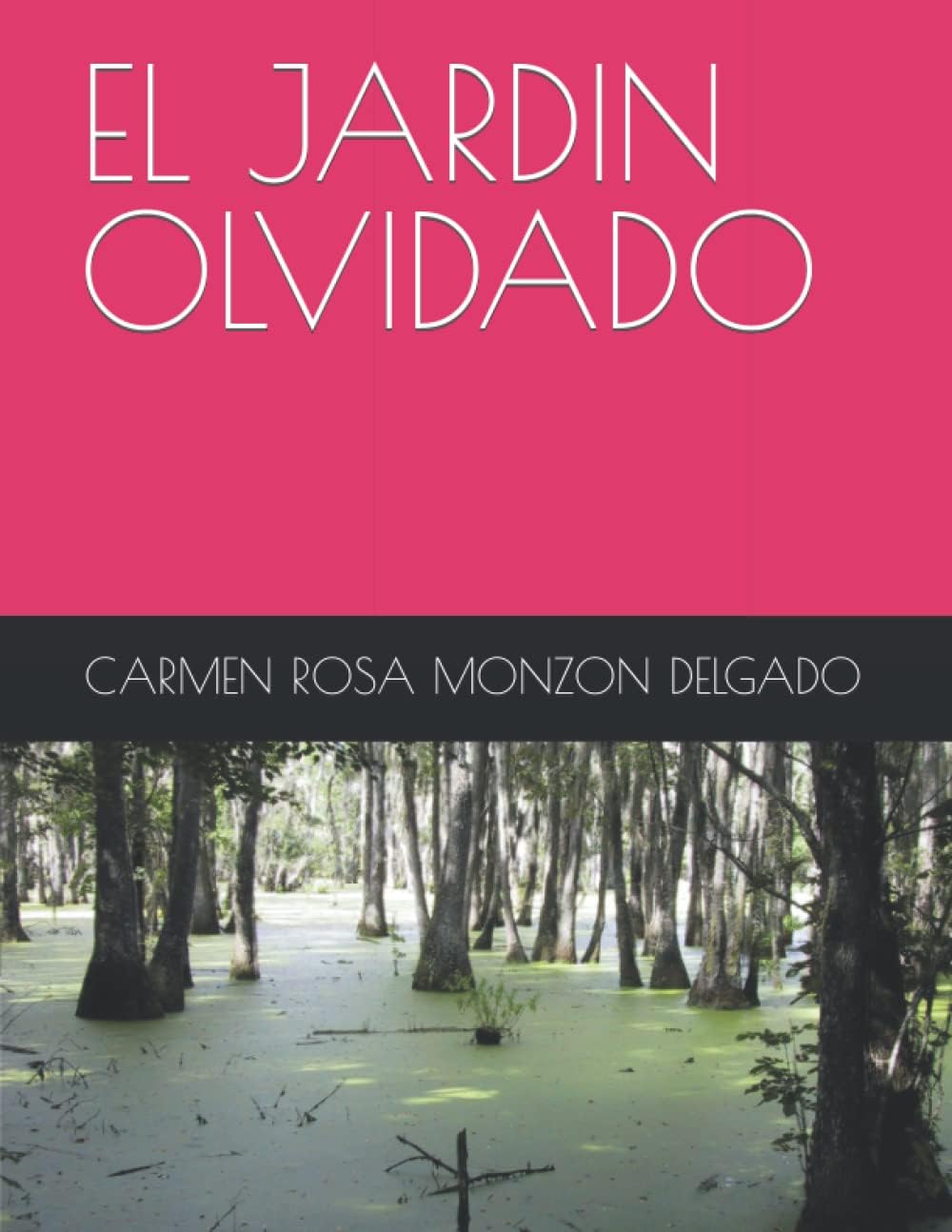 EL JARDIN OLVIDADO (Spanish Edition)
