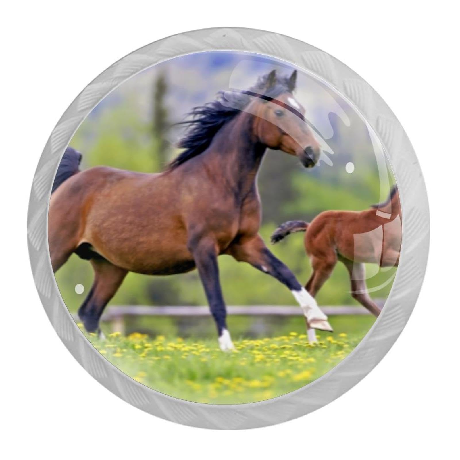 Tqmspg Horses