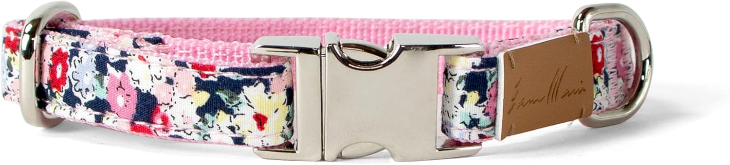Sam & Maui Cotton Floral Dog Collar with Matt Gold Metal Buckle, 01-Champagne and Blue,Large