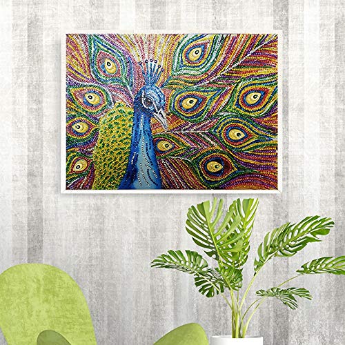 Kits de pintura de diamante com broca parcial em formato especial DIY 5D, pinturas de bordado de str