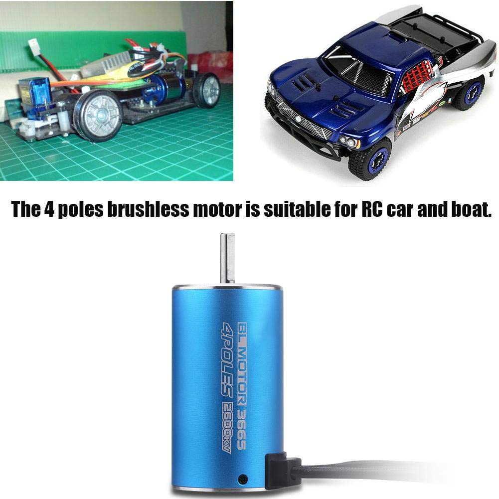 Mini Motor eléctrico Duradero 2600KV, Motor sin escobillas, Azul 3665 para Coche RC, Juguetes para niños
