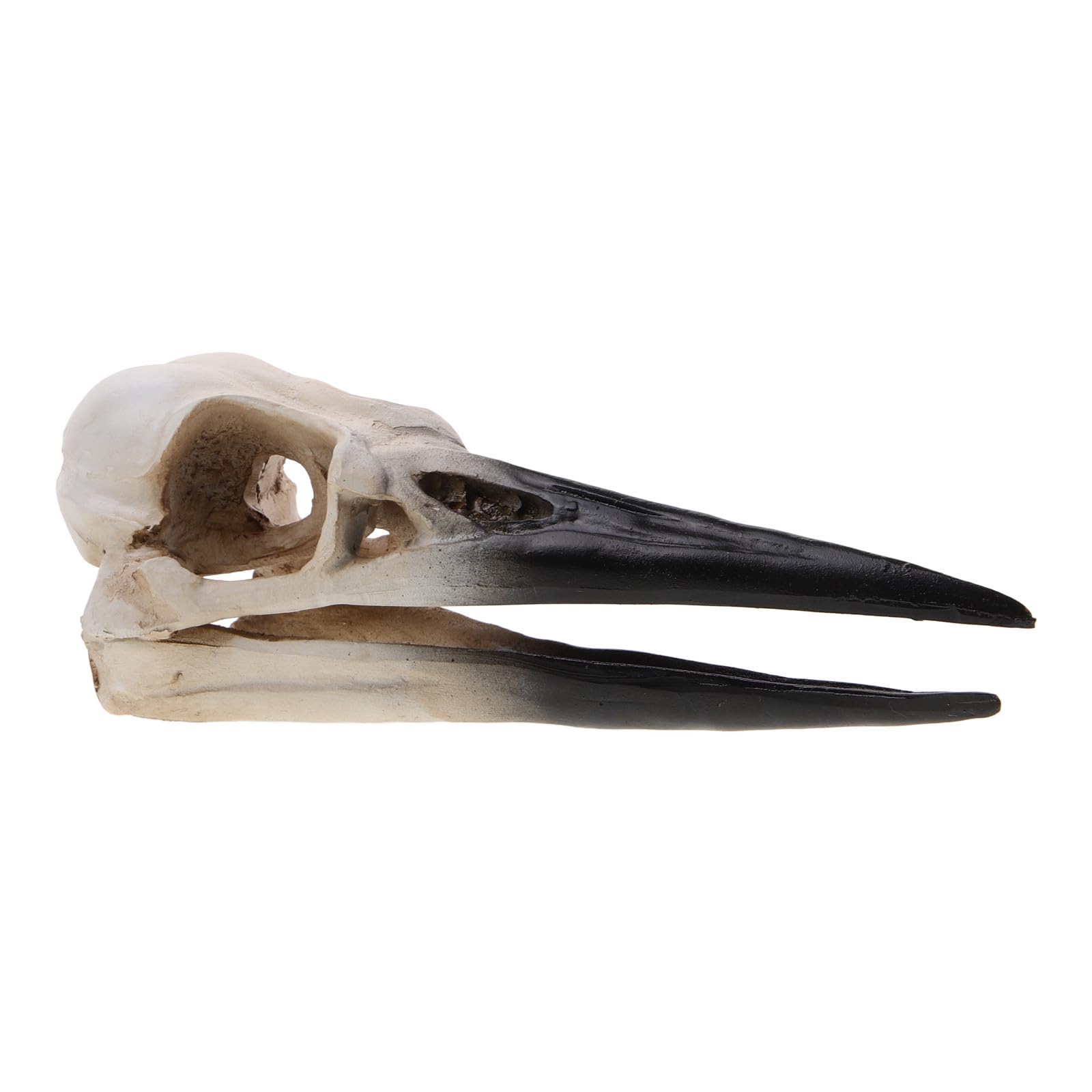 Crâne d'oiseau en résine beige Zerodeko ornement créatif pour décoration de bureau