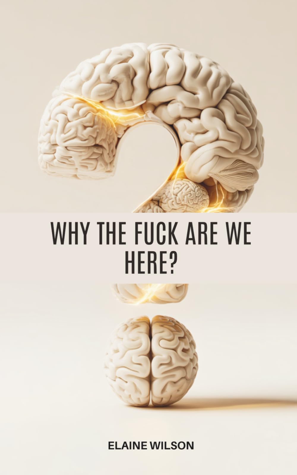 Why the Fuck Are We Here?