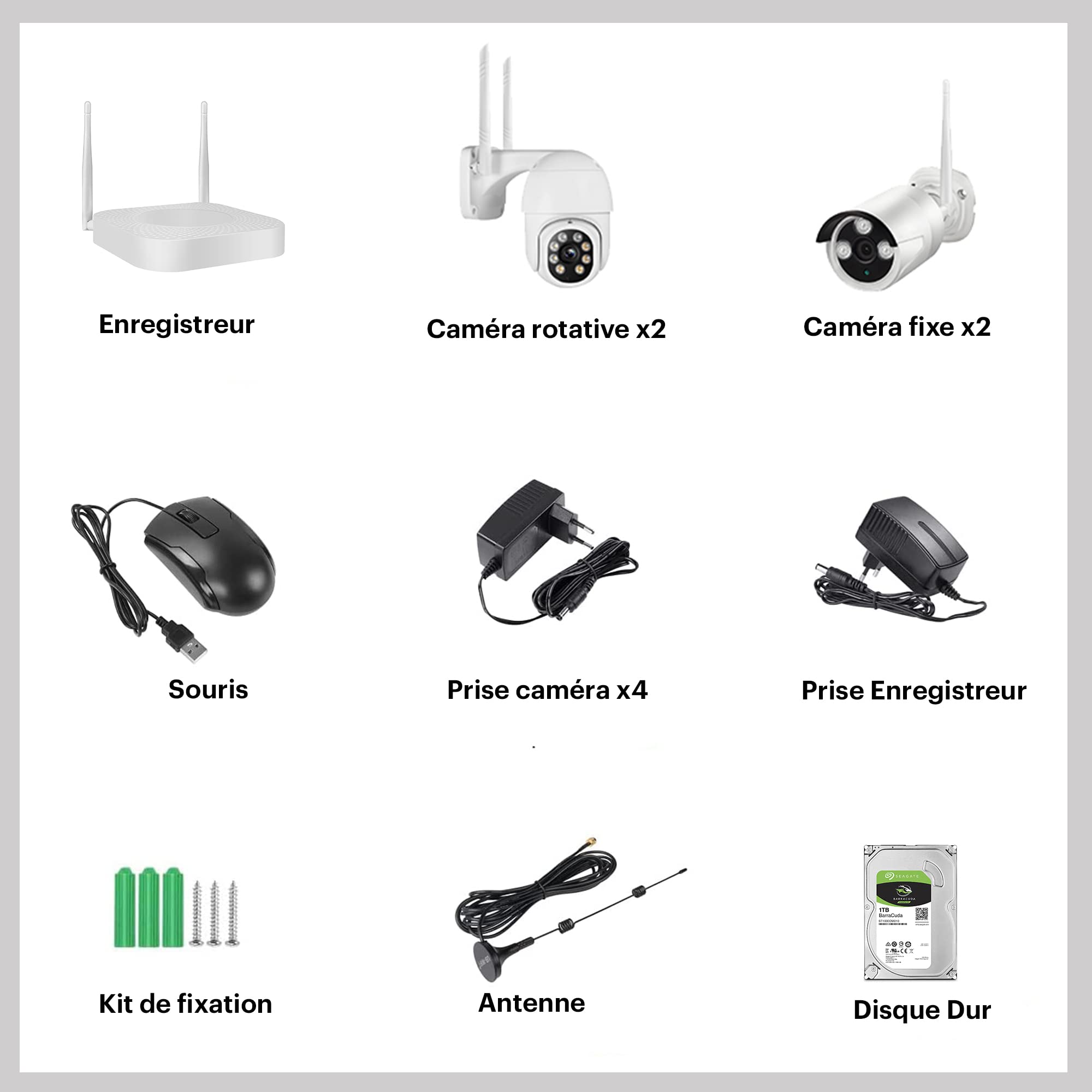Daewoo Security NVR504 - Kit di videosorveglianza a 8 canali, 4 telecamere esterne fisse e rotanti, accesso a distanza, disco rigido 1TB, rilevamento del movimento e visione notturna, colore: bianco