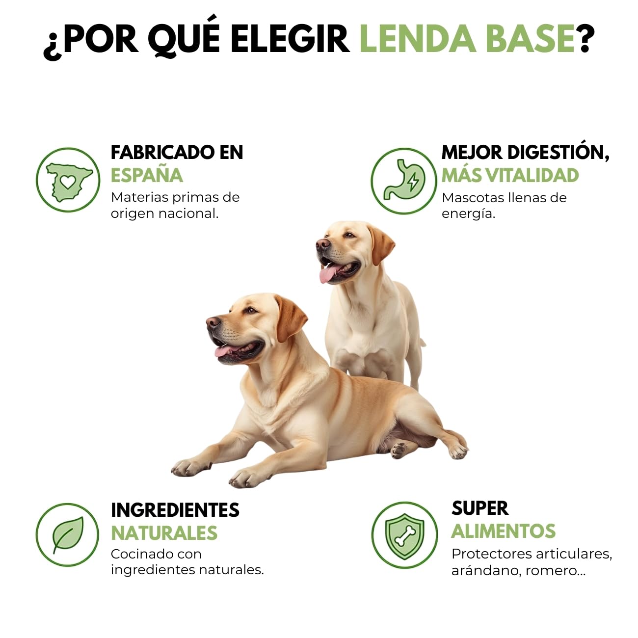 Lenda Base Daily Food 20 kg - Pienso para Perros Jovenes y Adultos - Comida para Perros de Todas Las Razas - Natural - Ideal Criadores
