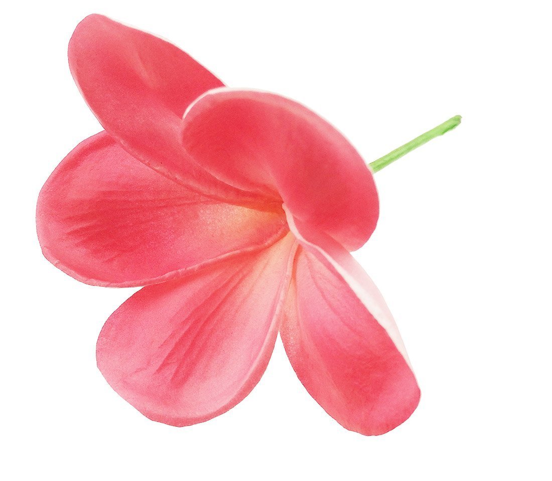 Winterworm 10 Stems Real Touch Artificial Hawaiian Lei Faux Ivory Plumeria Latex Flower Bouquet for Bride Wedding Party Festival Decoration Bouquet (Red) - Image 3