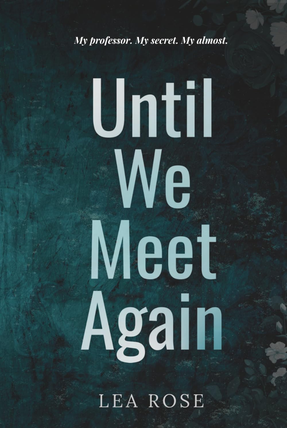 Until We Meet Again (Breaking the rules)