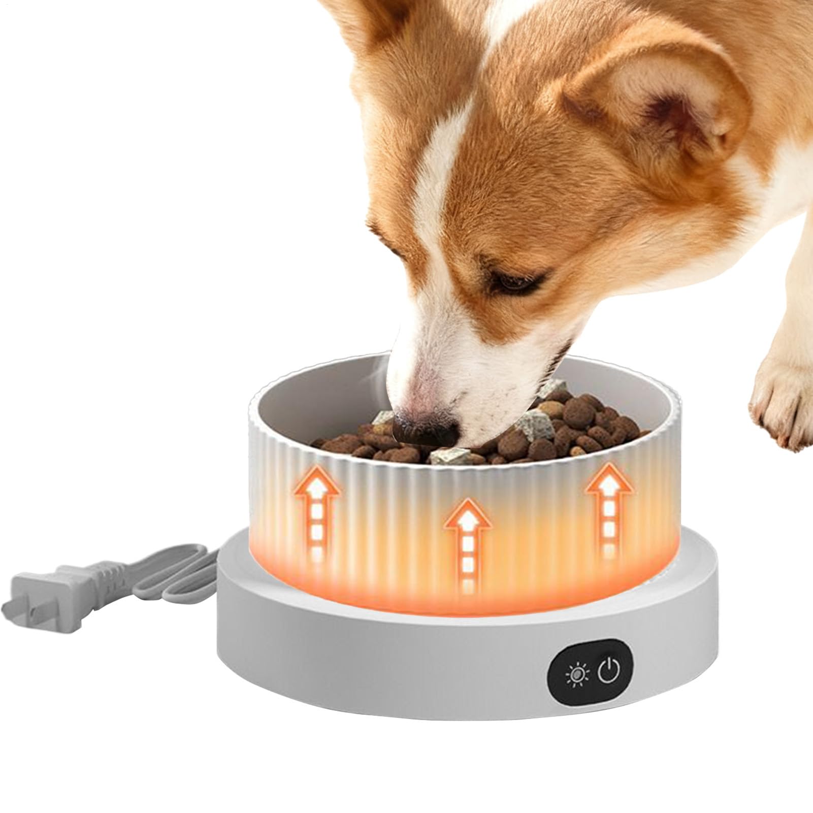 Bol d'eau chauffant chien sur balcon ou ferme : eau toujours temperee en hiver