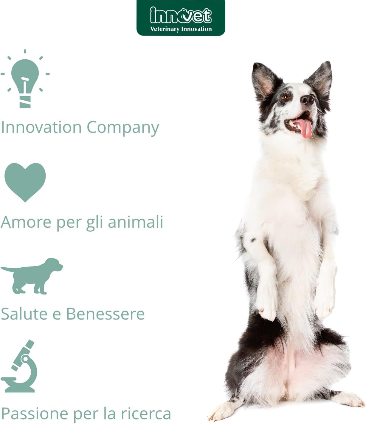 Innovet, Condrogen Energy, per Articolazioni dei Cani, Ideale per Cuccioli e Cani Attivi, con Glucosamina e Condroitin, 90 Compresse Masticabili