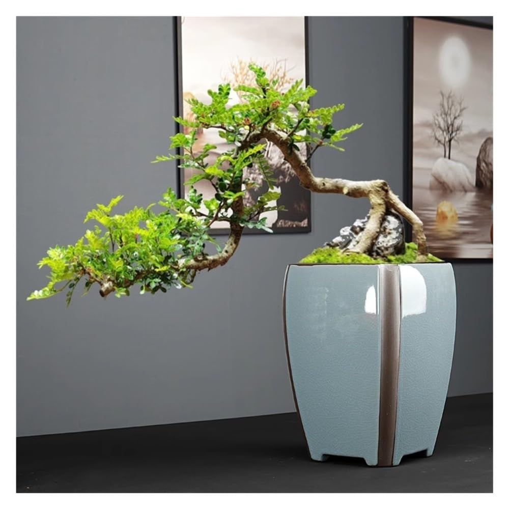 Doniczka, Bardzo duże doniczki na storczyki, otwarte ceramiczne bonsai, wysokie modele doniczek do wnętrz(L)