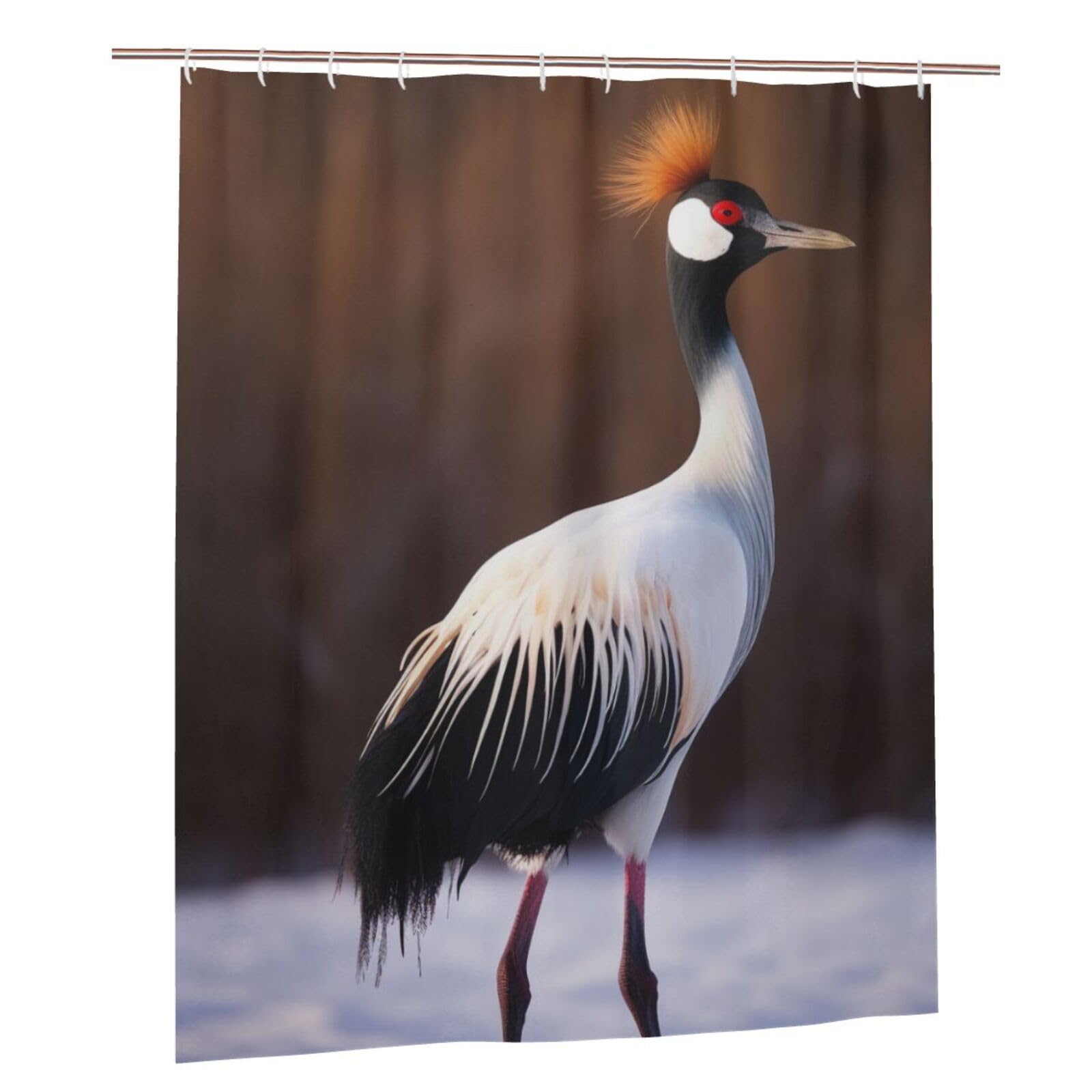BWWHCCTI Crowned Bird Printed Shower Curtain With 12 Plastic Hooks Opaque Quick Drying Waterproof Shower Curtains Sets For Bathroom 152x183 Cm
