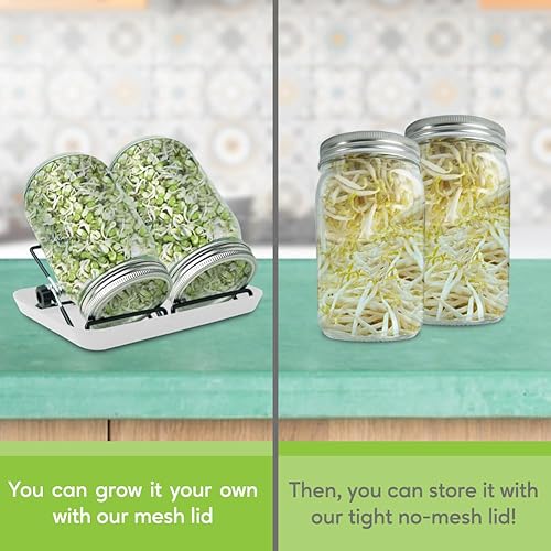 Miniatura 3 de Kit de brotes de acero inoxidable 2 piezas de 32 oz de malla de boca ancha colador de brotes para cultivar trigo lentejas brócoli Mung Bean Sprout