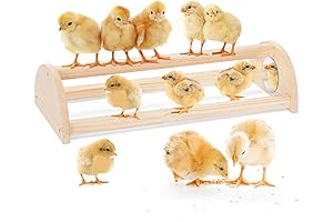 PETSFIT Chick Perch with Mirror for Brooder coop