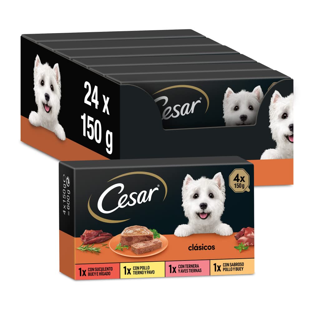 Cesar Nassfutter für Hunde, Auswahl an Klassikern in Pastete, Multipack (6 x 4 Becher x 150 g)