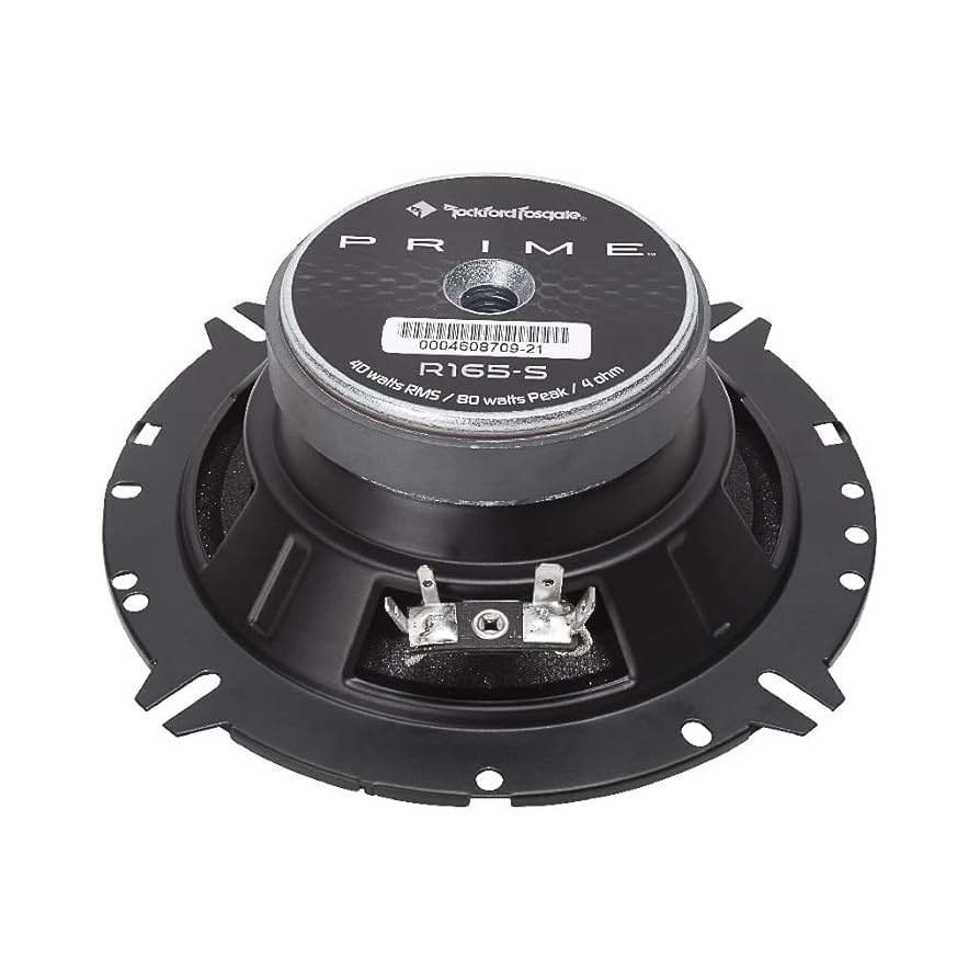 Amazon.com: Rockford Fosgate - R165-S - Component Systems