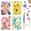 136 Stuks Echte Gedroogde Geperste Bloemen Wikay Natuurlijke Bloemen Geperste Bloem Blad Voor DIY Hars Sieraden Maken…