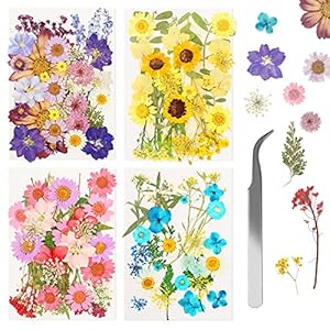 136 Stuks Echte Gedroogde Geperste Bloemen Wikay Natuurlijke Bloemen Geperste Bloem Blad Voor DIY Hars Sieraden Maken…